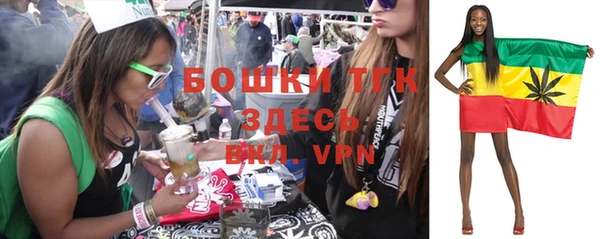 гашик Верхний Тагил